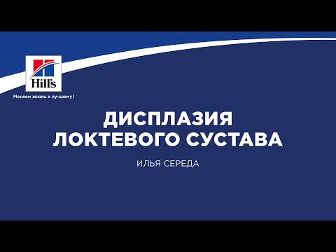 Видео: Вебинар на тему: “Дисплазия локтевого сустава. Ранняя диагностика и лечение”. Лектор - Илья Середа.