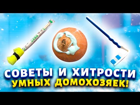 Видео: СЕКРЕТЫ и ХИТРОСТИ по дому! Кто раз увидел, делает так же - Зачем мажу зубную пасту на лук?