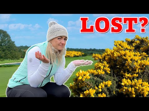 Видео: Что делать, если вы потеряли мяч для гольфа