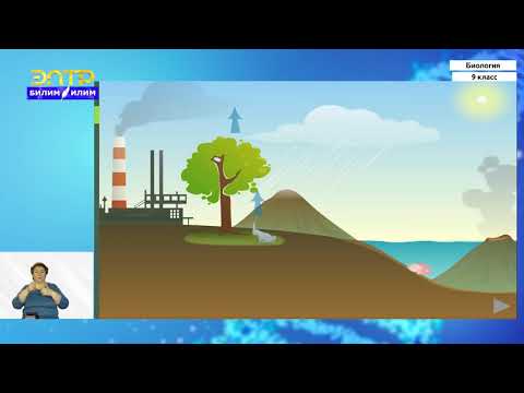Видео: 9-класс | Биология | Структура биосферы и функции ее живого вещества