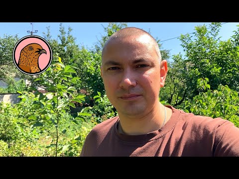 Видео: ЗАКРЫВАЮ ПЕРЕПЕЛИНЫЙ БИЗНЕС