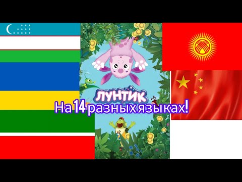 Видео: Лунтик на 14 разных языках
