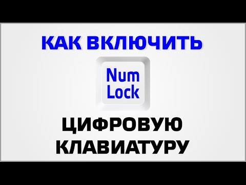 Видео: Как включить цифровую клавиатуру