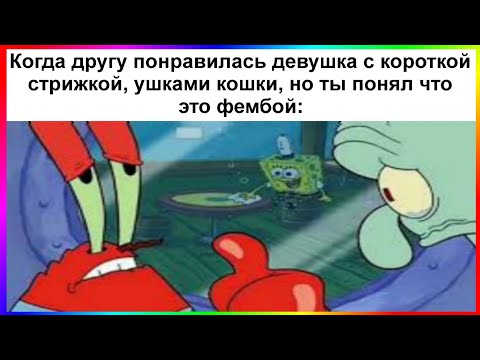 Видео: тик ток фембой | подборка мемов