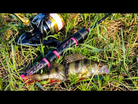 Видео: Велопрогулка, окунь, плотва на мормышку и колебло