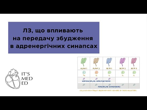 Видео: Фармакологія. ЛЗ, що впливають на передачу збудження в адренергічних синапсах