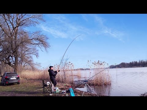 Видео: НА ЦЮ НАЖИВКУ КЛЮЄ КРУПНЯК! Фідерна рибалка в березні 2023 р. Дніпро