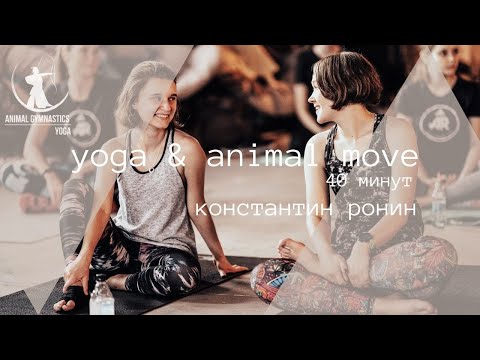 Видео: Yoga&animal move тренировка всего тела 40 минут