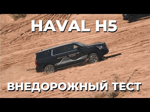 Видео: Вот почему Haval H5 станет хитом 2025 года!