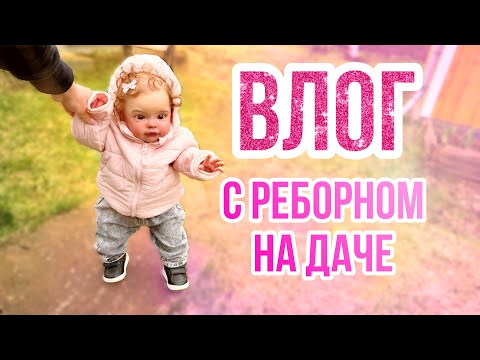 Видео: ВЛОГ Едем на дачу с реборном Евой