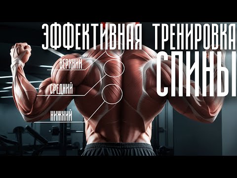Видео: Эффективная тренировка спины. Широчайшие мышцы. Трапециевидные мышцы. Как накачать спину?