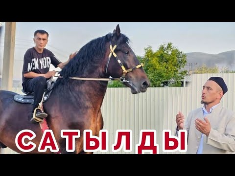 Видео: Байкал Озбегистанга Кетти👍