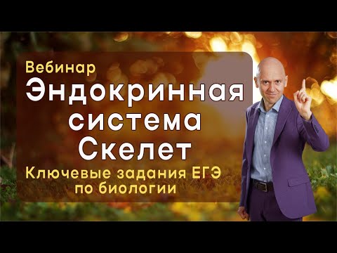 Видео: Эндокринная система и скелет: вебинар с анализом заданий ЕГЭ по биологии.