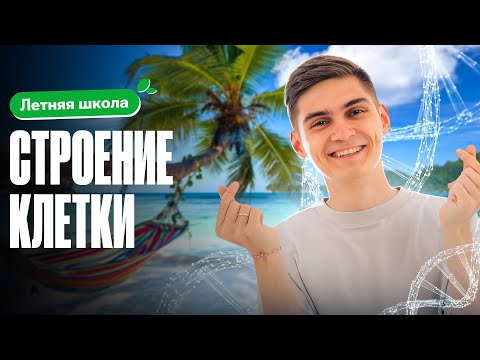 Видео: РАЗБИРАЕМ: строение клетки | Летняя школа 100Б | Марк Ламарк