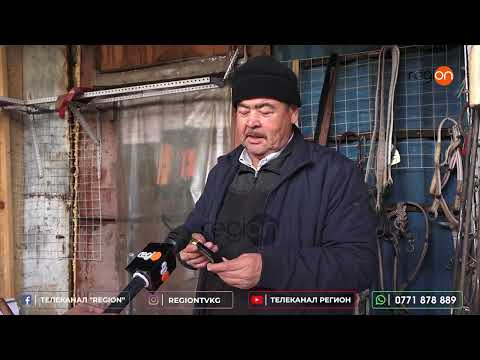 Видео: ОШ: ТҮРКИЯНЫН ХАНЫШАСЫН ТАҢ КАЛТЫРГАН БЫЧАК КЫРГЫЗСТАНДА ЖАСАЛГАН