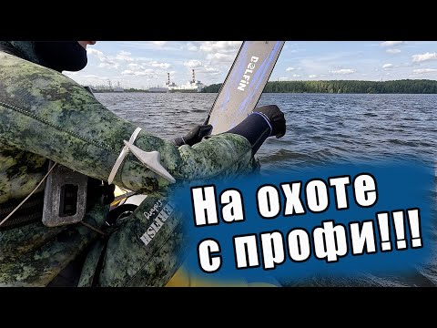 Видео: ПОДВОДНАЯ ОХОТА С ИНСТРУКТОРОМ!!! ОХОТА НА ОГРОМНЫХ СВАЛАХ!!!