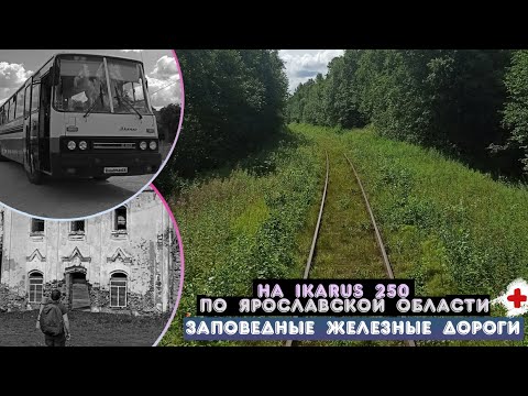 Видео: Савёловская глухомань или как мы до Весьегонска добирались \ На Икарусе в Углич и Мышкин