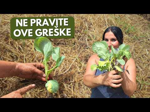 Видео: 5 ошибок, которые вы всегда допускаете при пересадке растений