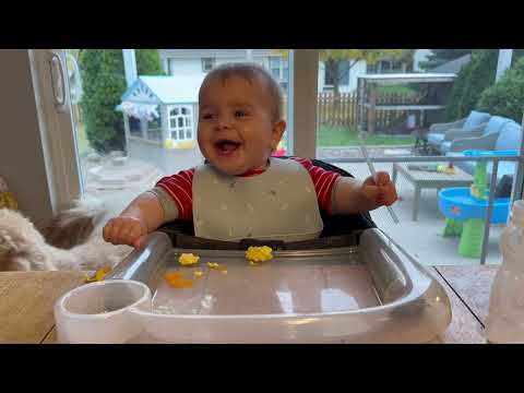 Видео: 10-месячный малыш пробует яичницу с сыром! (Милота!)