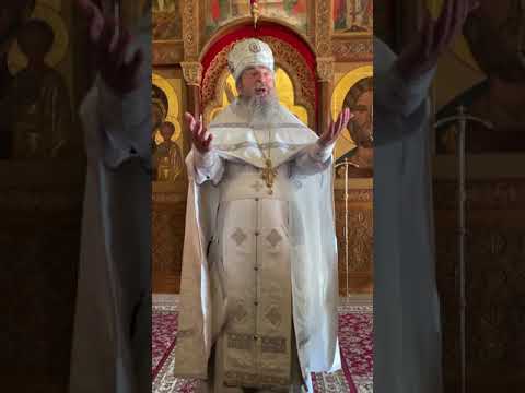 Видео: Илиодор Милостивый! Слово на погребении новопреставленного иеродиакона Илиодора