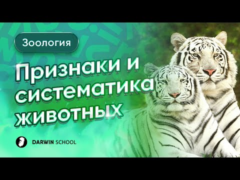 Видео: Тема №9: Признаки животных