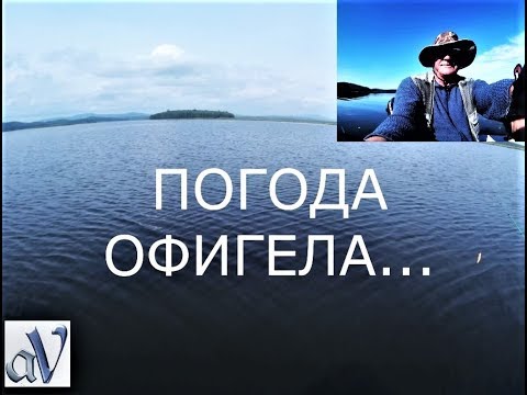 Видео: ХОТЬ НА УХУ поймать\\Погода офигела\\Воблеры\\Август 2019г.