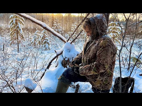 Видео: ПРИБАМБАСЫ Отшельника (30 лет одиночества 126 серия)