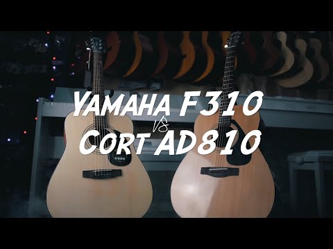 Видео: Yamaha F310 VS Cort AD810 | Сравнительный обзор