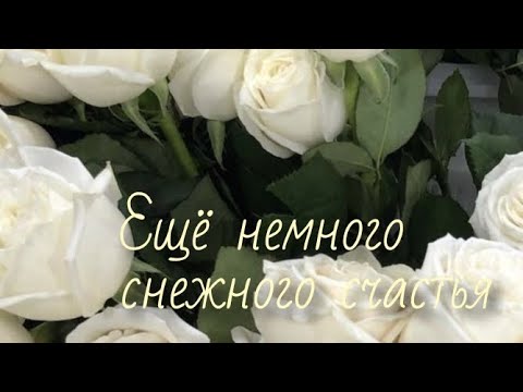 Видео: Сравнение Аспирина и Артемис.🌹 Ну и их подружки🥰❤️💛💙