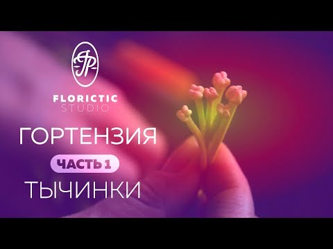 Видео: Тычинки для гортензии из зефирного фоамирана без проволоки