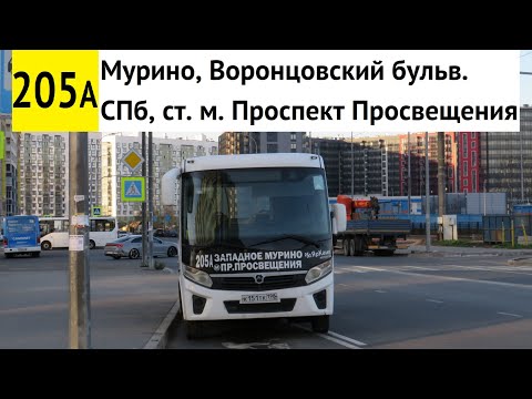 Видео: Автобус 205а "СПб, ст. м. "Проспект Просвещения" - Мурино, Воронцовский бульв."