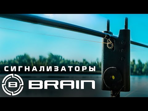 Видео: Обзор карповых сигнализаторов и лагерной лампы Brain