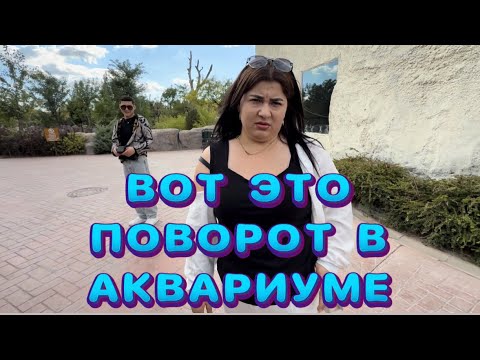 Видео: Эся не купил мне игрушку 😅 Влог из АКВАРИУМА 🐠