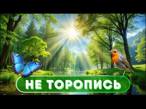 Видео: Не торопись... и Просветлишься...