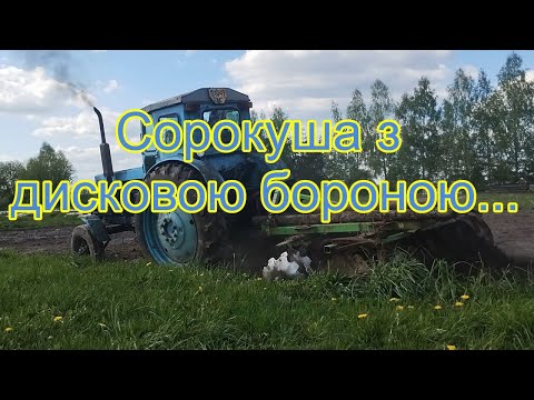 Видео: Т 40 з дисковою бороною БОМЕТ. Дискування поля з брусом. Трактор з дисками. Дискуємо. Як дискувати.