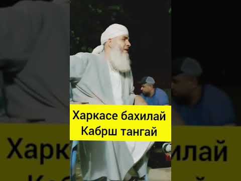 Видео: МАВЛАВИ БОХТАРИ ШАХСИ БАХИЛ ХАТМАН ГУШ КУНЕД