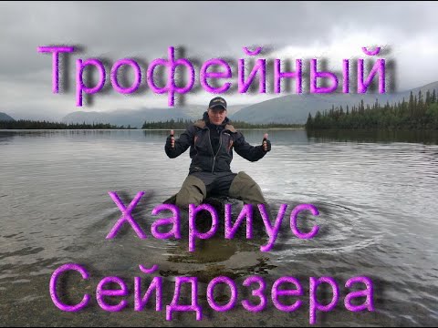 Видео: Трофейный Хариус Сейдозера, Ловозера Часть 1