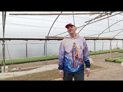 Видео: ВАНГА гледа последно на мен