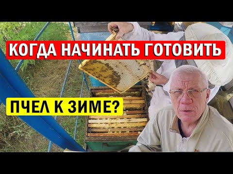 Видео: Когда начинать готовить пчел к зиме? Ошибки при подготовке пчелиных семей к зиме!