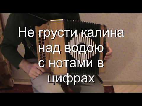 Видео: Не грусти калина над водою с нотами в цифрах