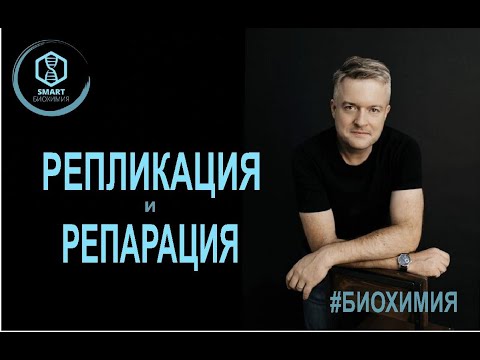 Видео: Биохимия: Репликация и Репарация