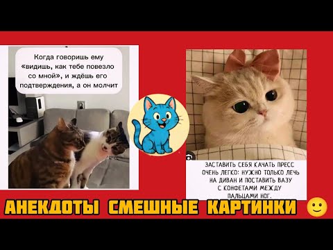 Видео: пресс качать хорошо конфетамисмешные картинки и весёлая музыка 