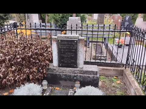 Видео: Переезд в Литву. Могилы предков и историческая Родина.