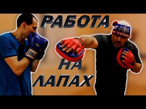 Видео: Отработка ударов на лапах/Атака защита атака защита
