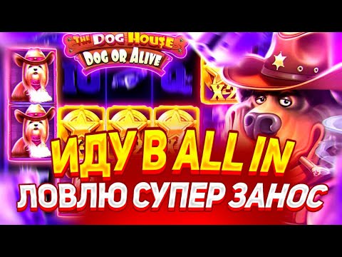 Видео: ПОШЁЛ В ALL IN И СЛОВИЛ МЕГА ЗАНОС В THE DOG HOUSE DOG OR ALIVE! / ЗАНОСЫ НЕДЕЛИ