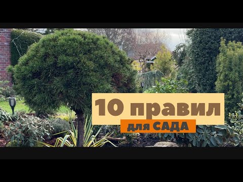 Видео: 10 правил для создания сада 🏡 Личный опыт и знания 🏡
