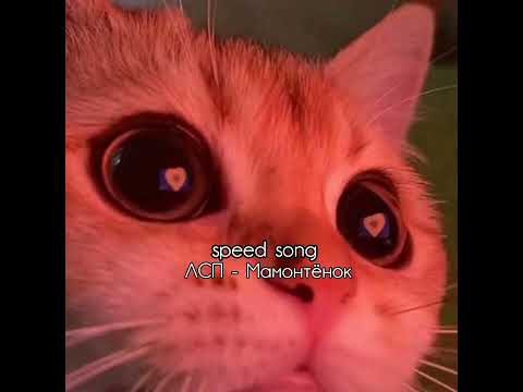 Видео: ЛСП- Мамонтёнок (speed up)