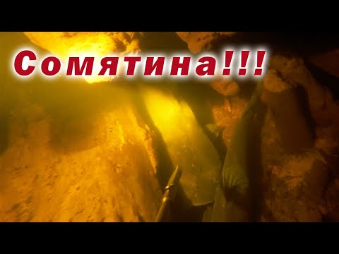 Видео: ЗИМНЯЯ ОХОТА НА СОМА 2025!!! ОХОТА НА РУСЛЕ ВОДОХРАНИЛИЩА!!! ТЕСТ НОВОЙ ПОДВОДНОЙ ВИДЕО КАМЕРЫ!!!