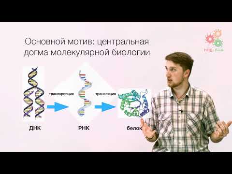 Видео: Заключение. Эпилог (без музыки)