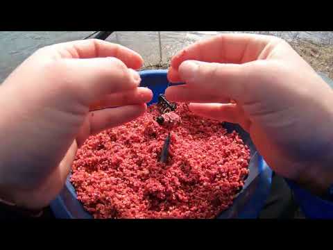 Видео: Вбивця карася або фідер по холодній воді? Батл між оснастками на Дністрі.